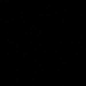 Meet your Posher, Lexi